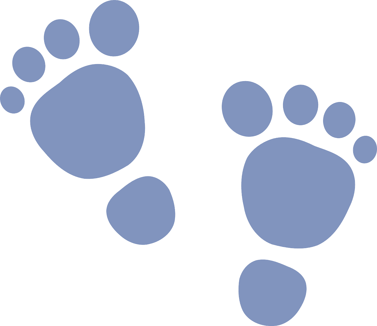 Footprint baby blue vector graphic clipart