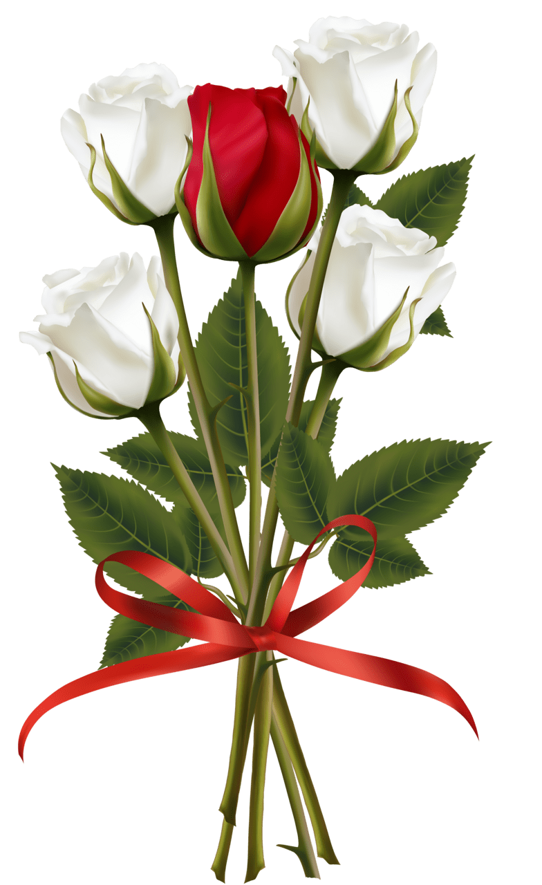 Bouquet of flowers white and red rose clipart image