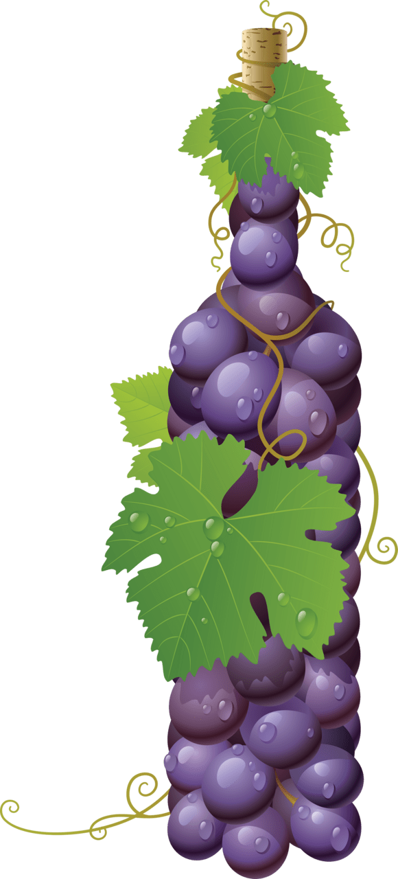 Grape image with background clipart