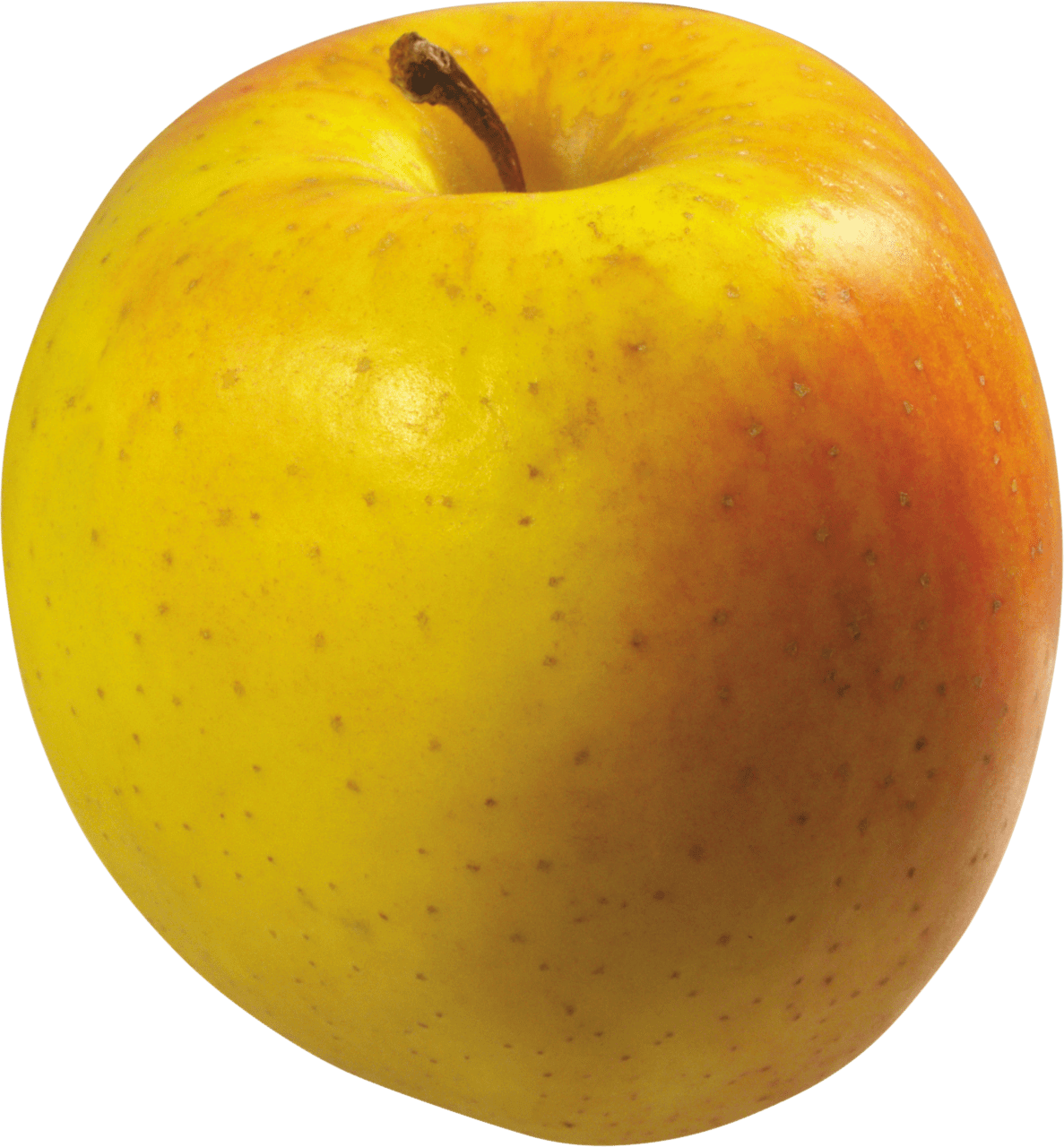 Apples yellow apple clipart picture