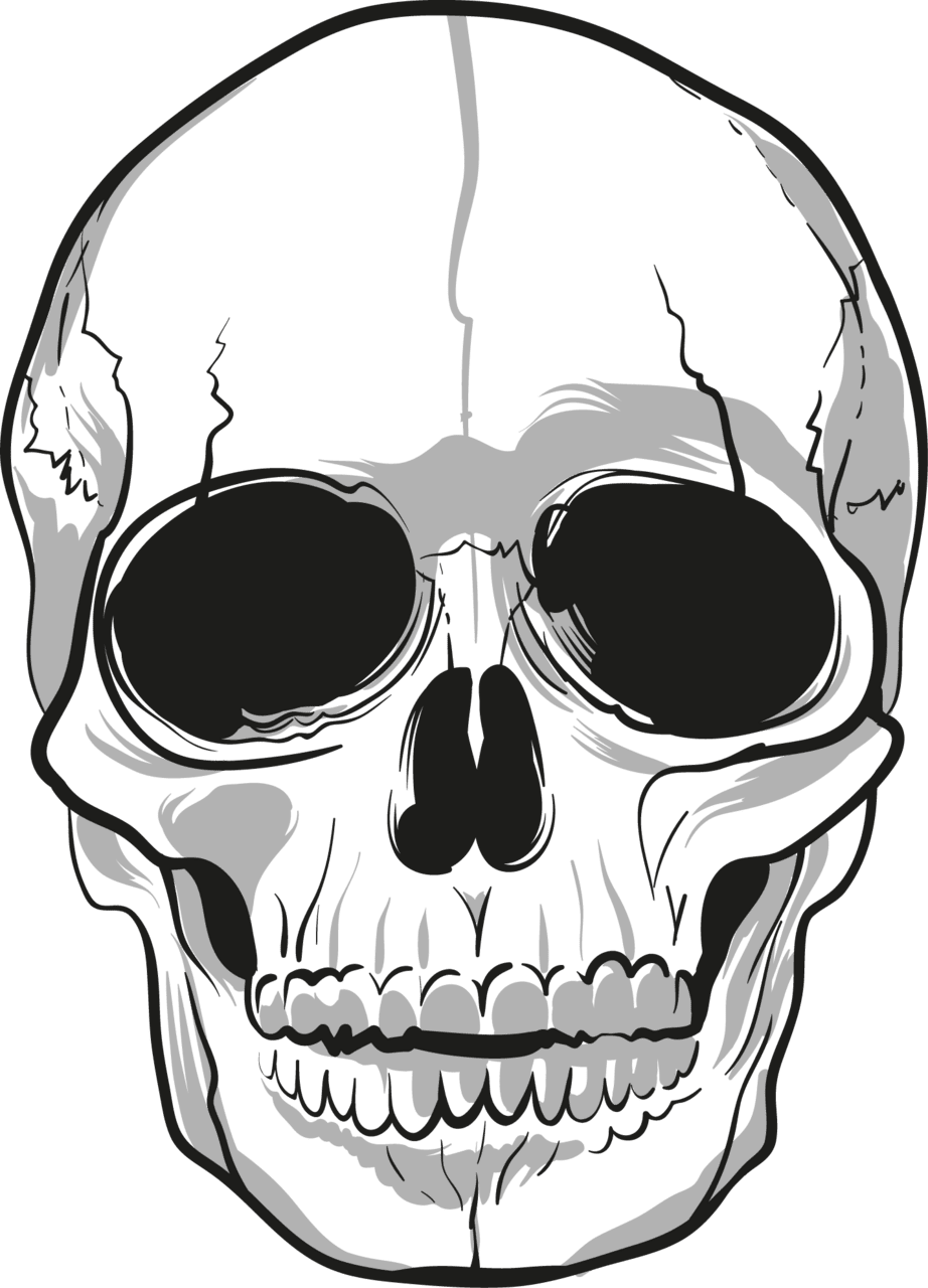 Face skulls drawing skull skeleton head clipart picture