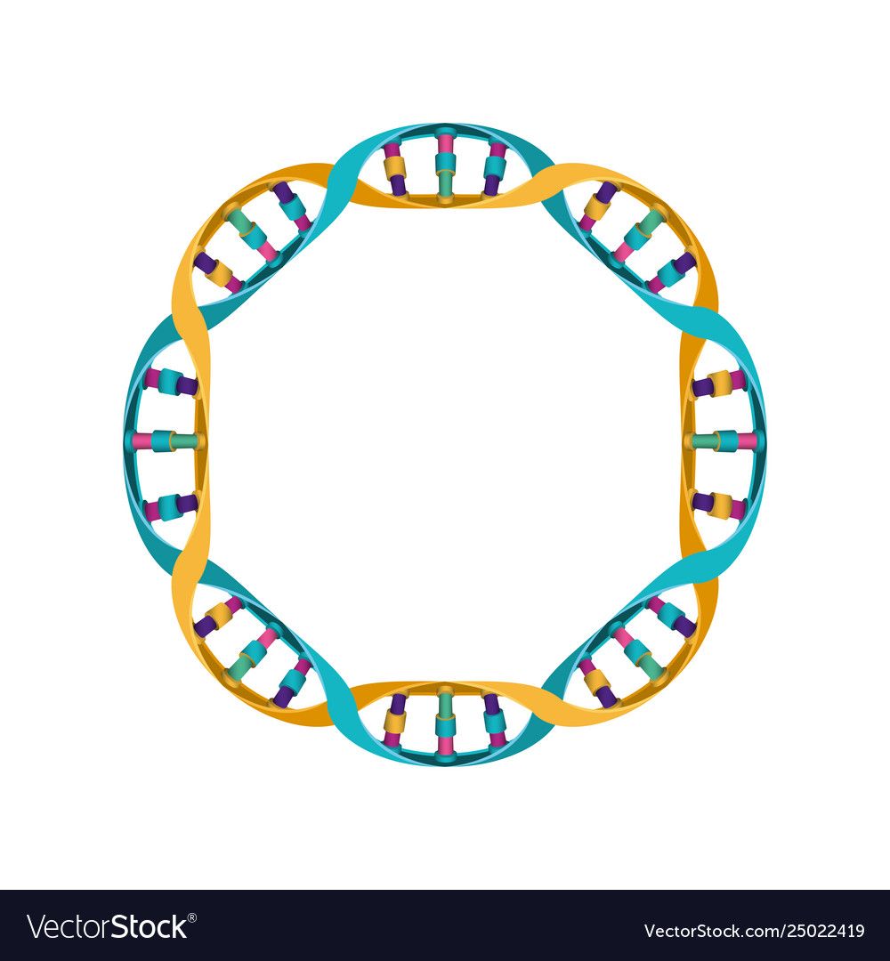 Circular dna cha science colorful vector image clipart