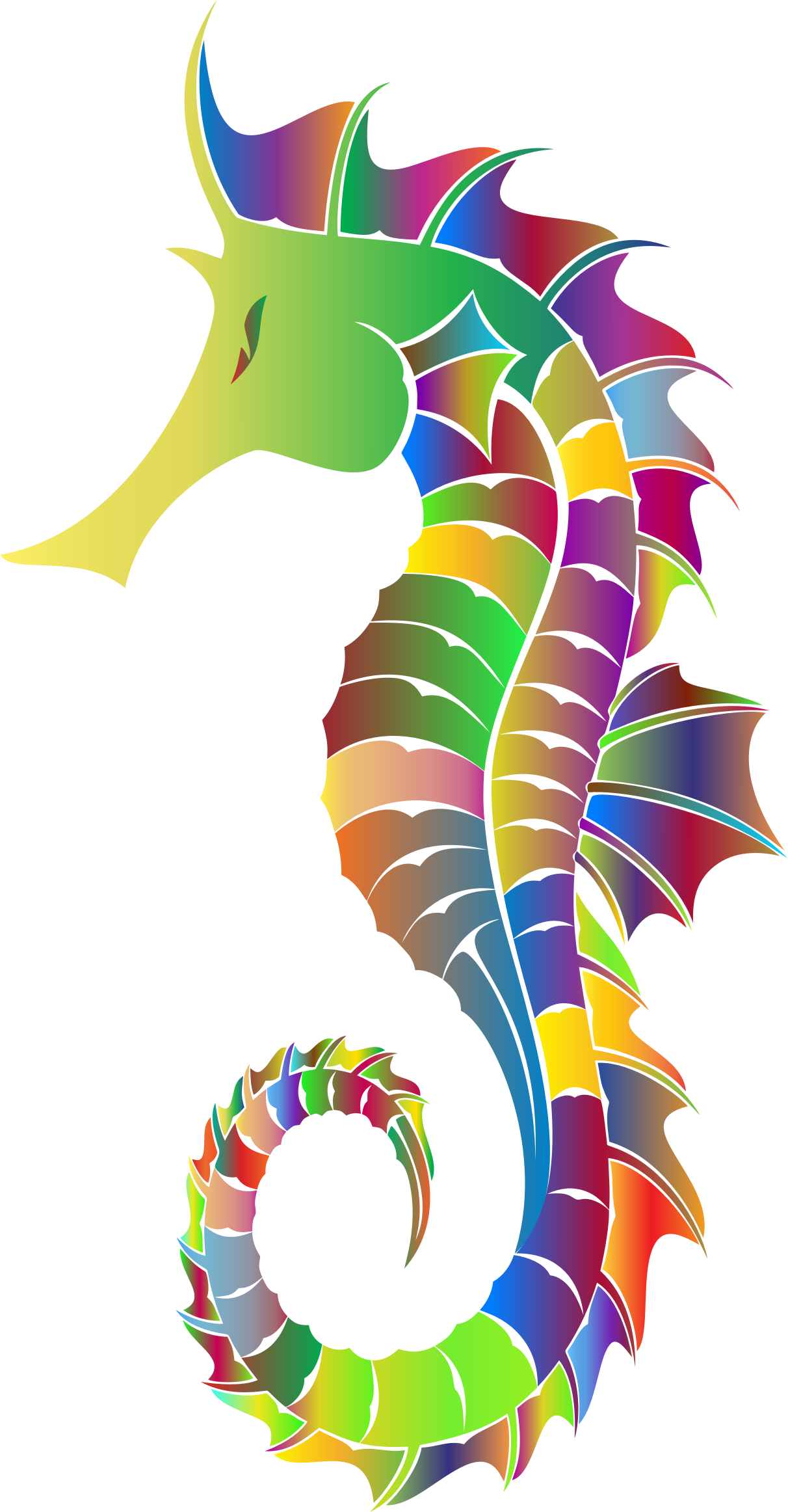 Seahorse image size clipart 4