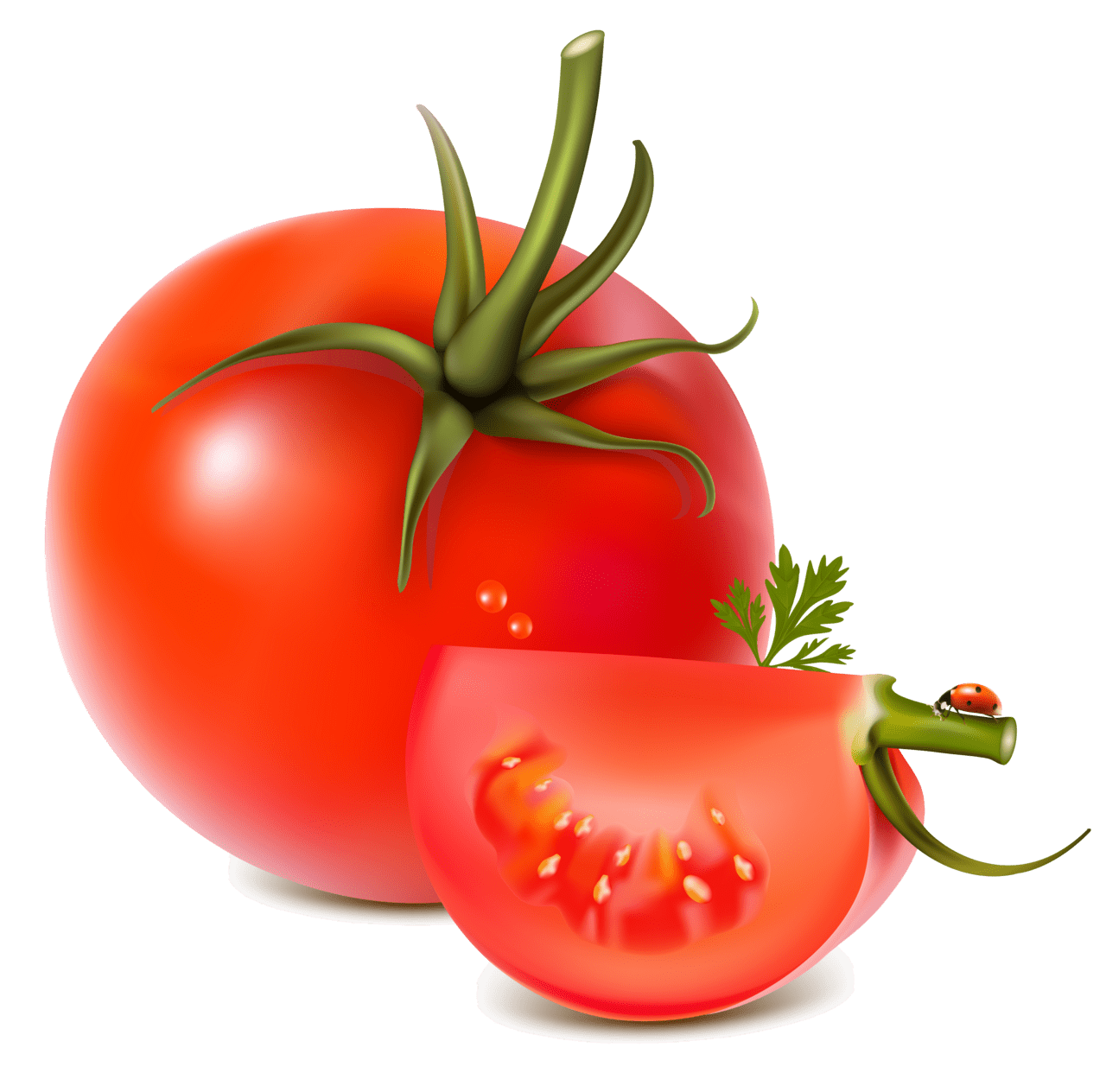 Veggie red tomatoes clipart clip art