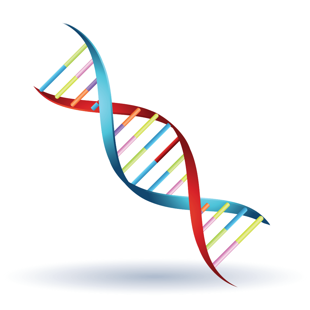 Dna what are genetic polymorphisms integrative pharmacology clipart logo