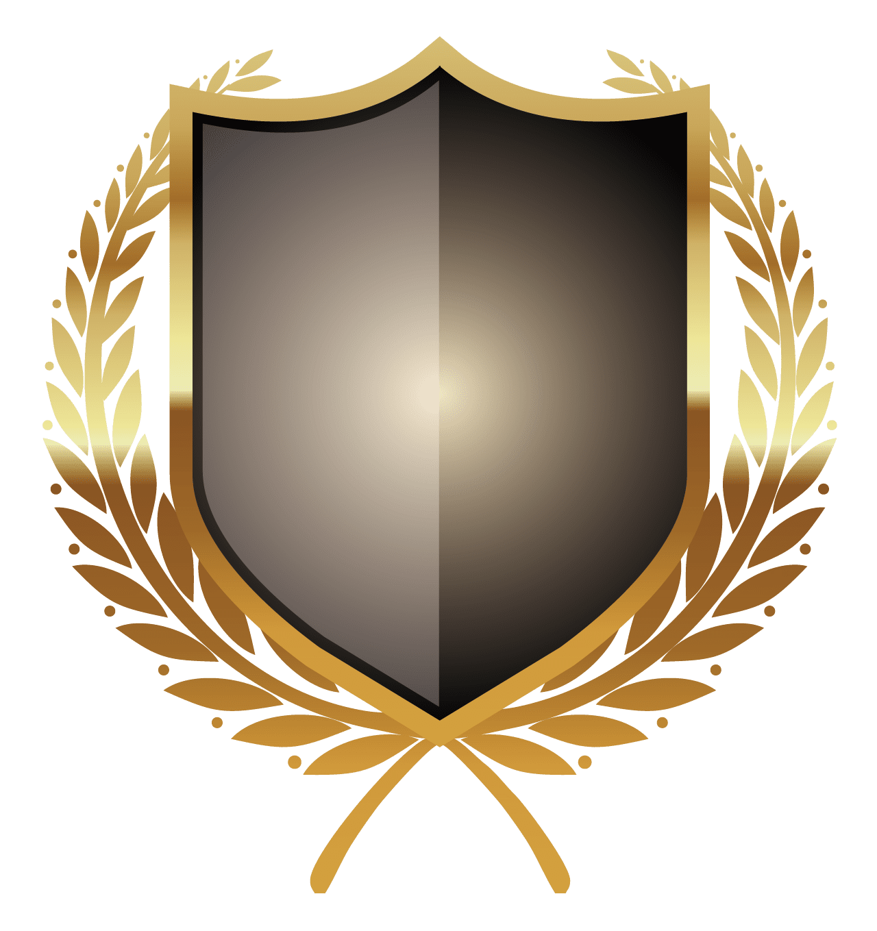 Shield clipart photo