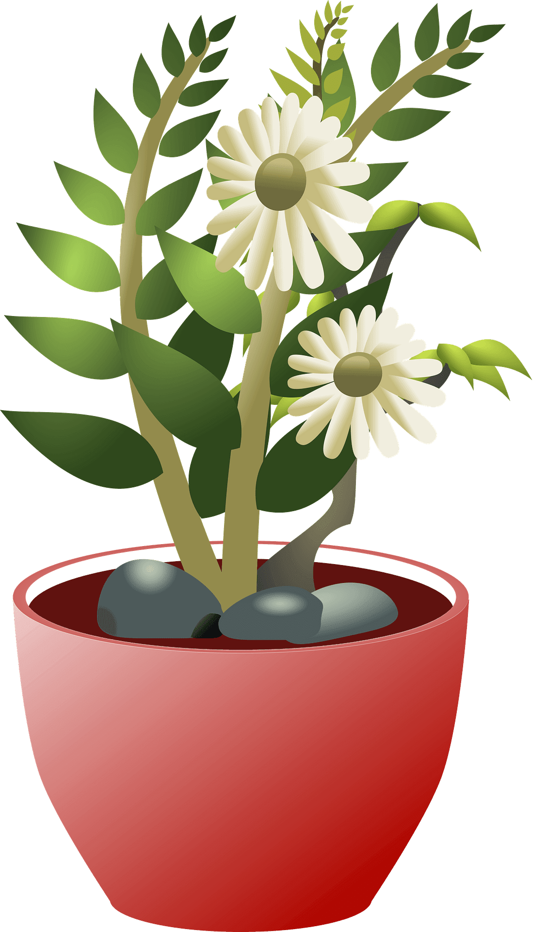 Flower pot white flowers in brown vector clipart images