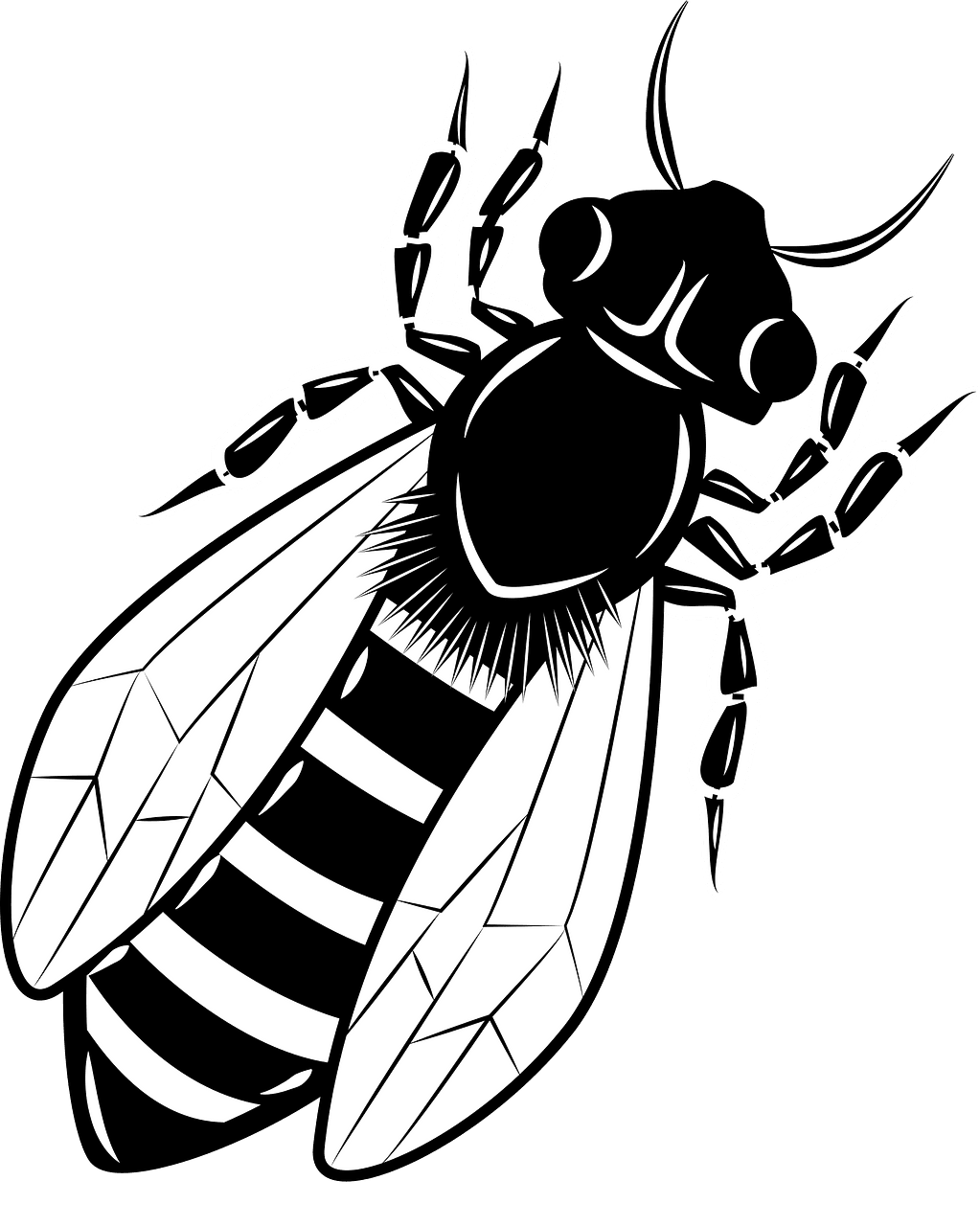 Bee black and white vector clipart images