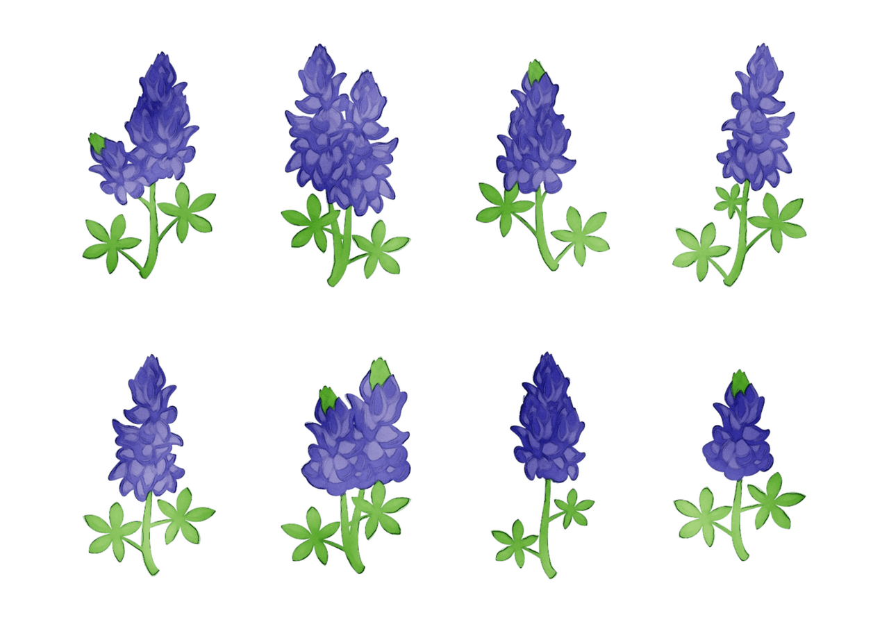 Bluebonnet purple lavender cut flowers tree clipart vector