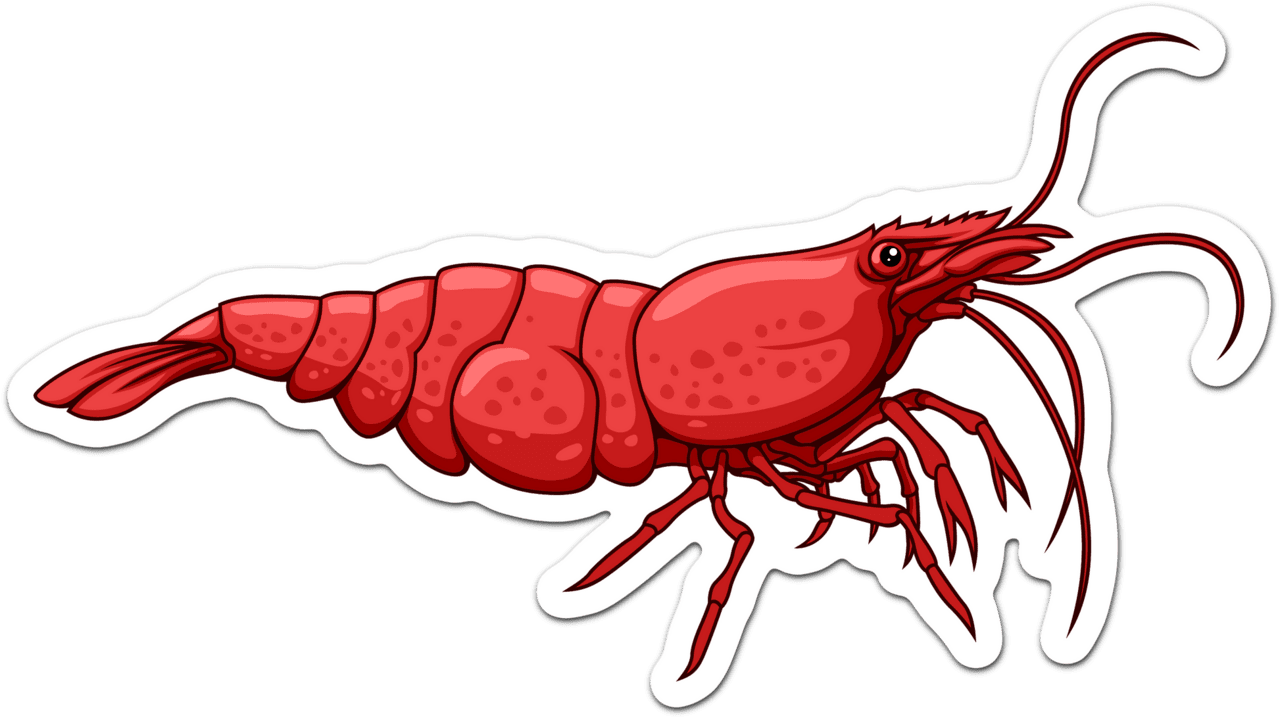 Crawfish green hulk neocaridina sticker shrimp stickers aquapros clipart logo