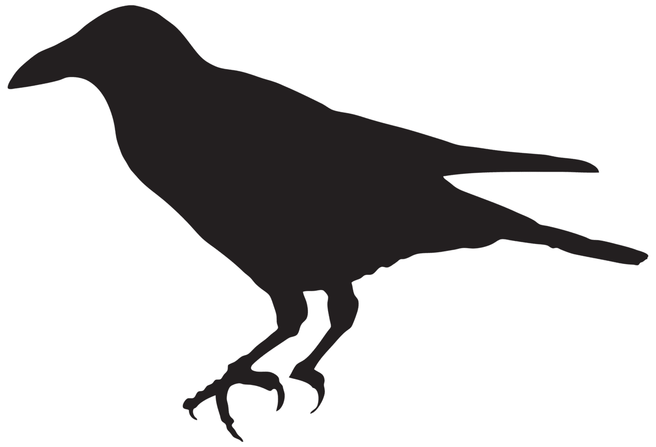 Crow silhouette clipart image