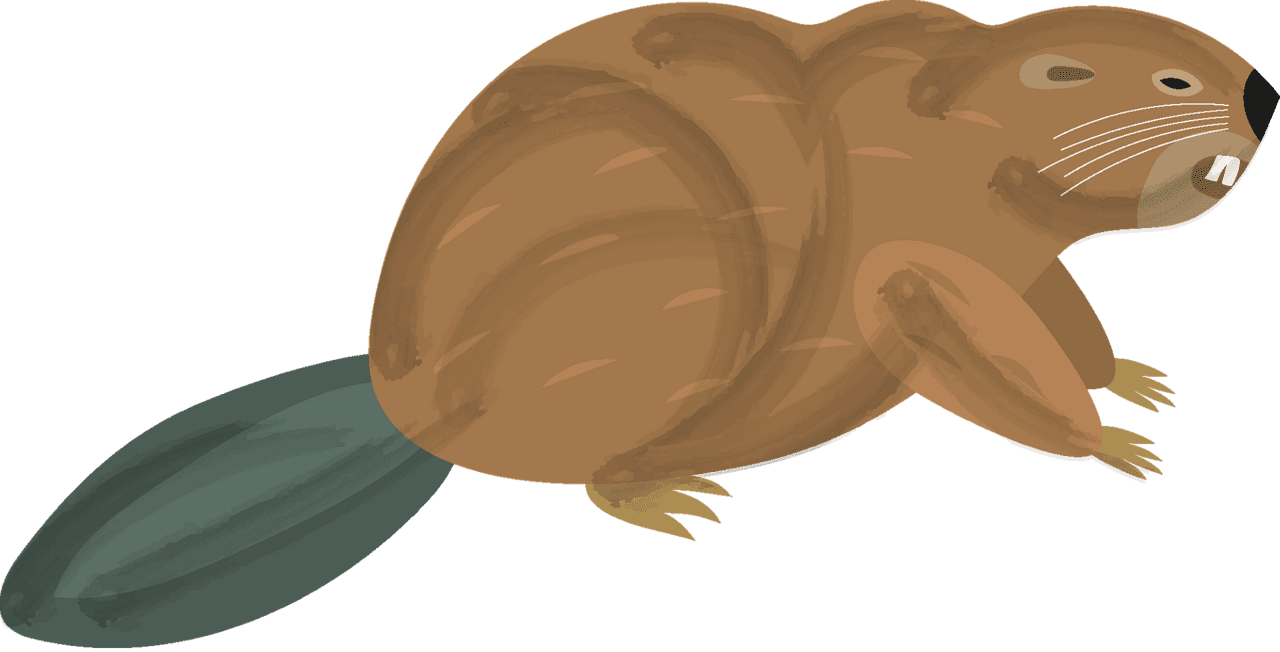 Beaver vector clipart images 8