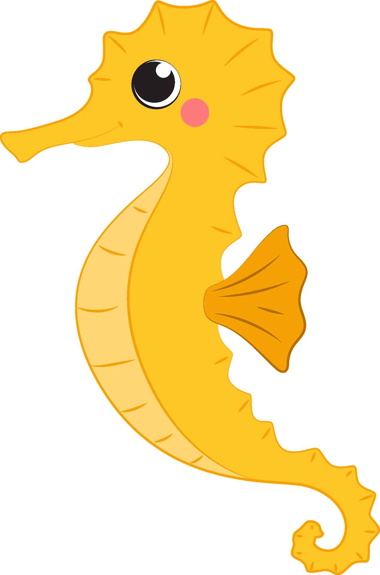 Seahorse vector clipart images