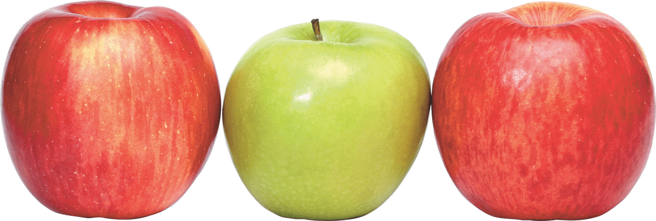 Apples clipart image