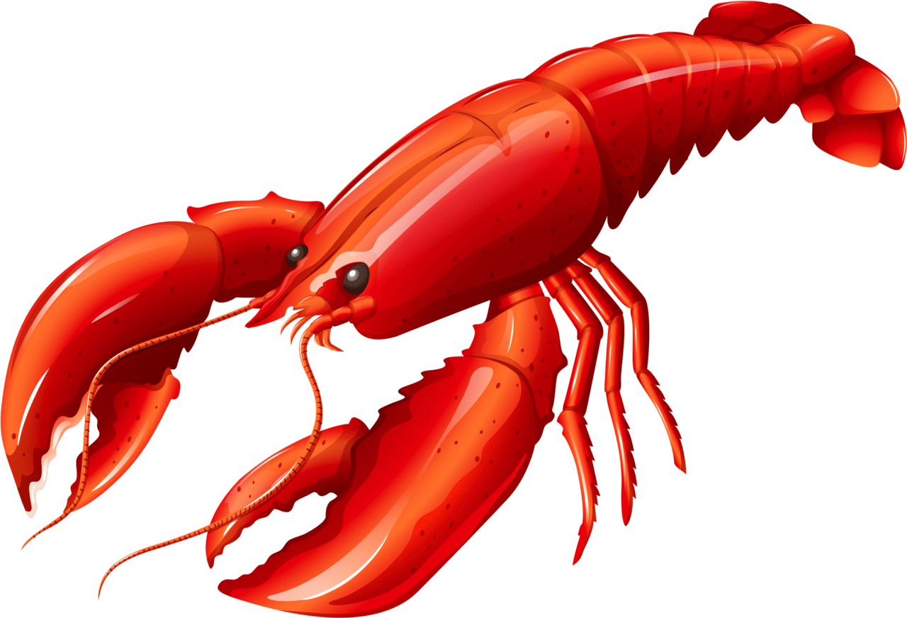Crawfish delicacy southern cajun seafood clipart logo