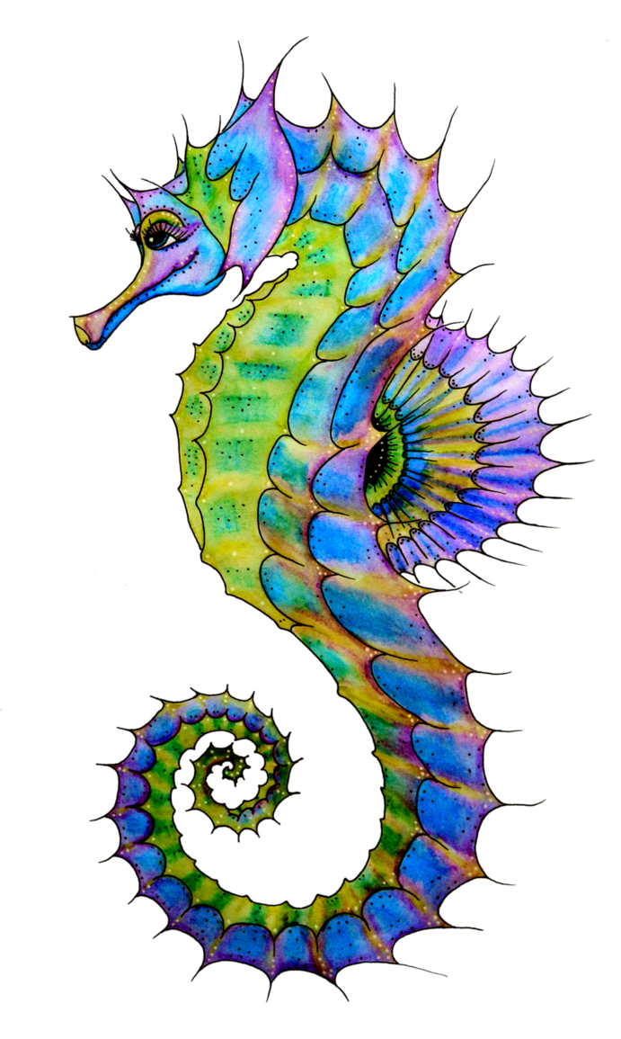 Seahorse sea horses clipart logo