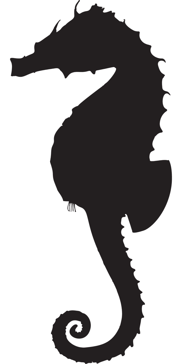 Seahorse animal creature liv vector graphic clipart