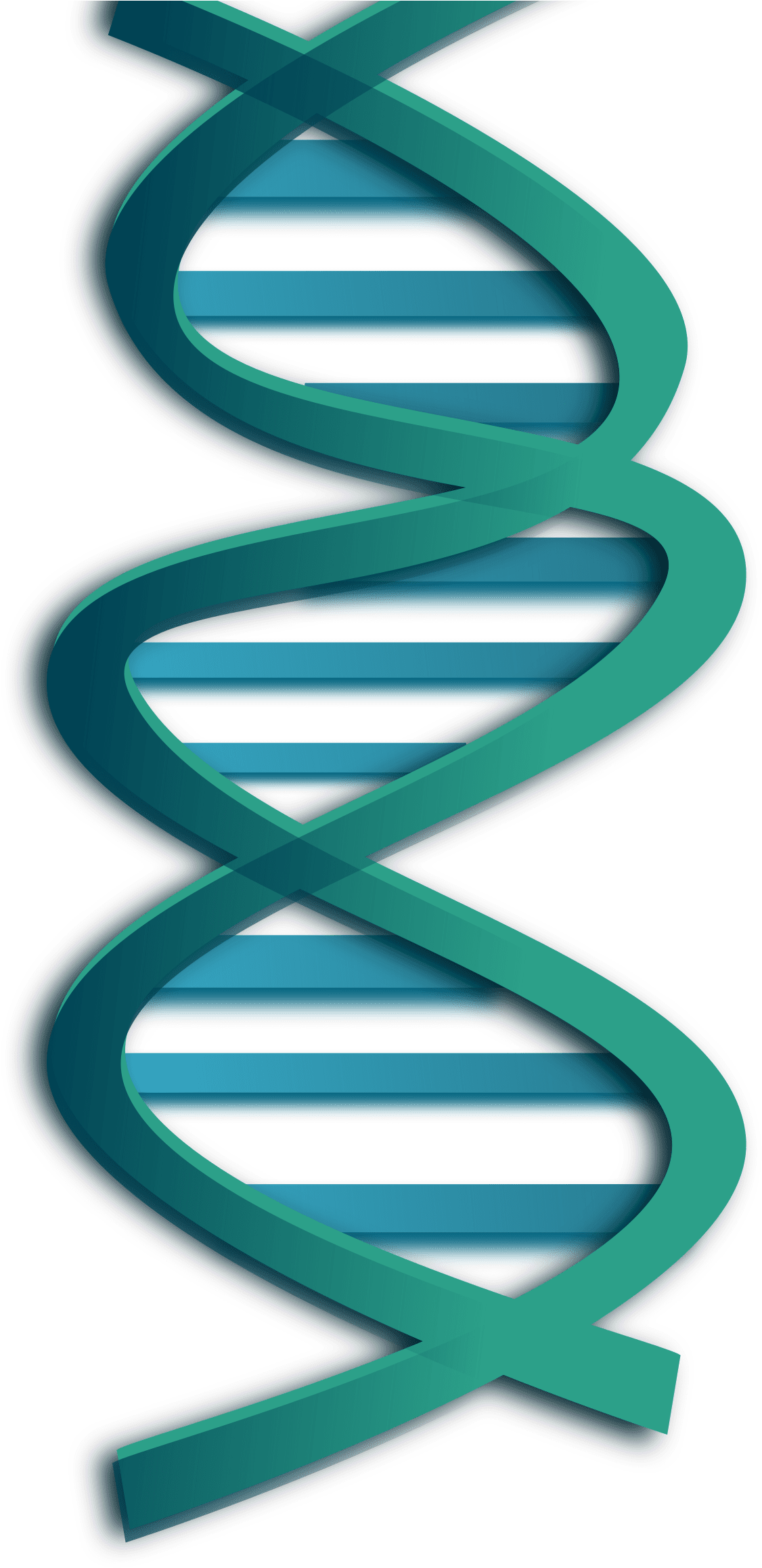 Hd clipart dna image