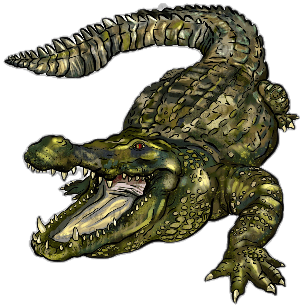 Alli gator sublimation design hand drawn portrait ali clip crocodile clipart background