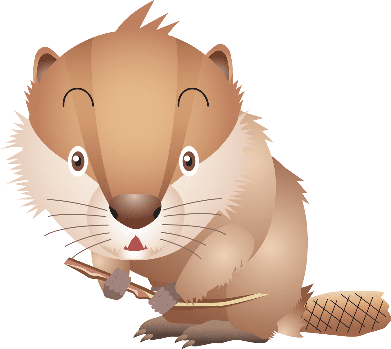 Beaver image size clipart 2