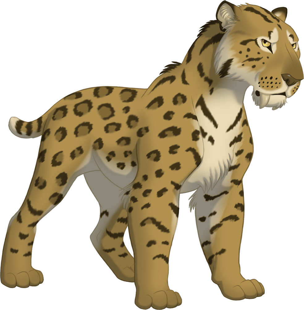 Cheetah pin page clipart transparent