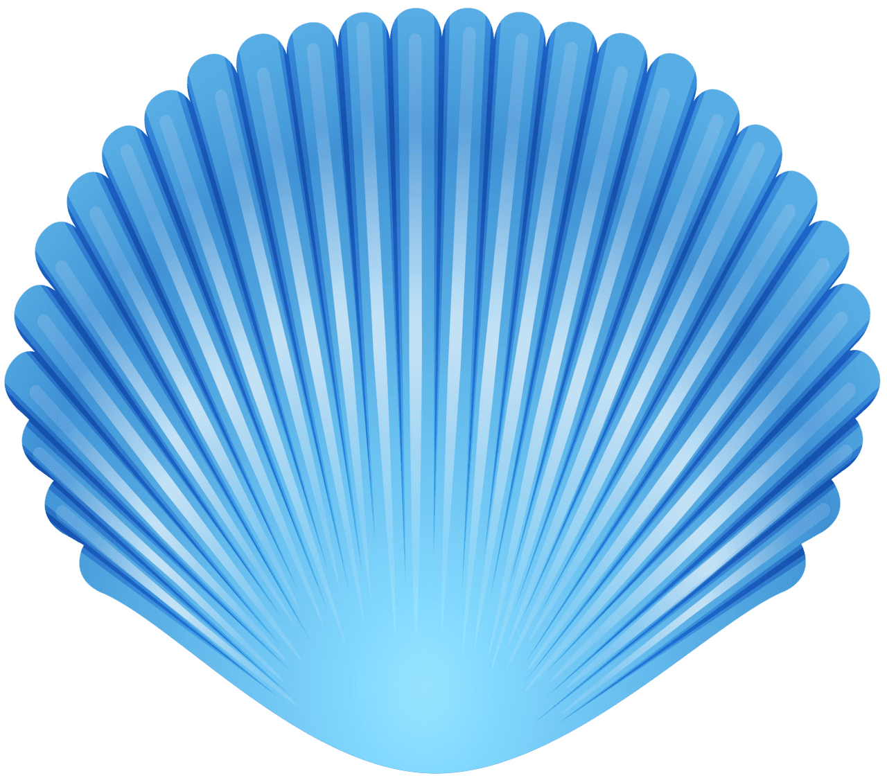 Blue sea shell clipart image