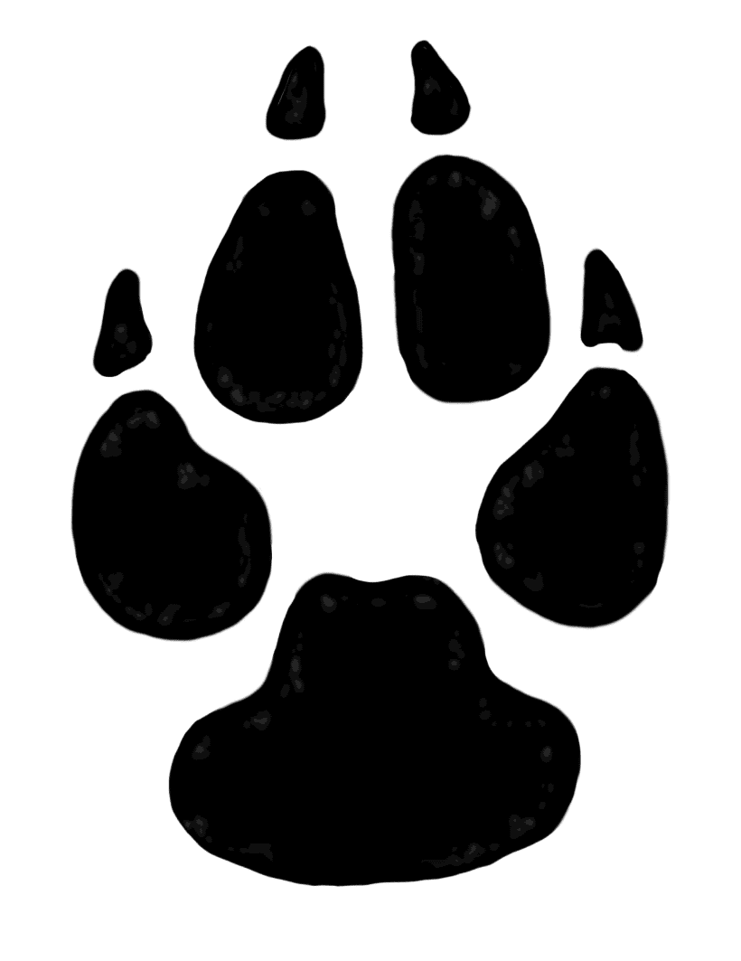 Dog paw prints clipart transparent