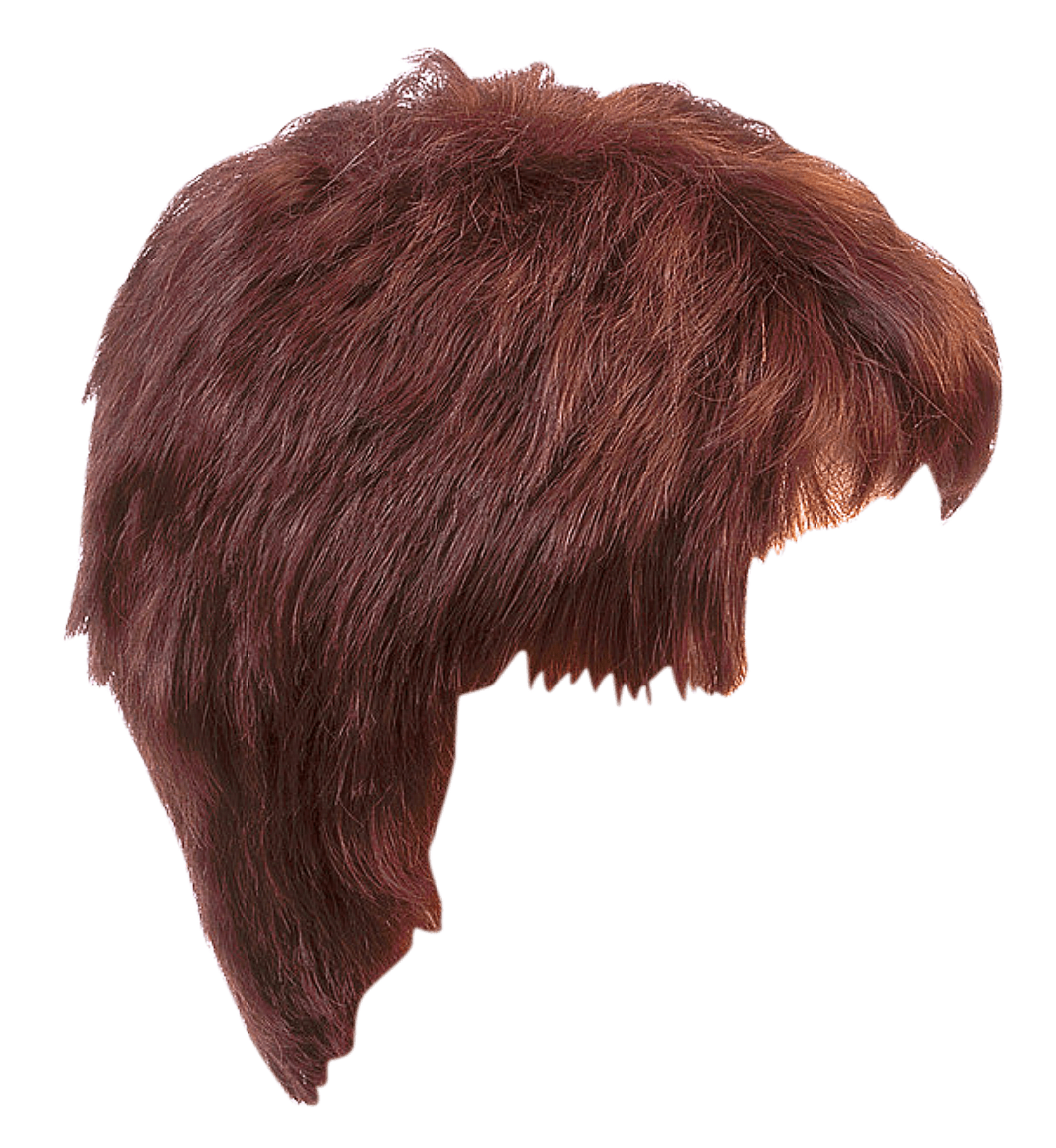 Hair style girl tr clipart vector