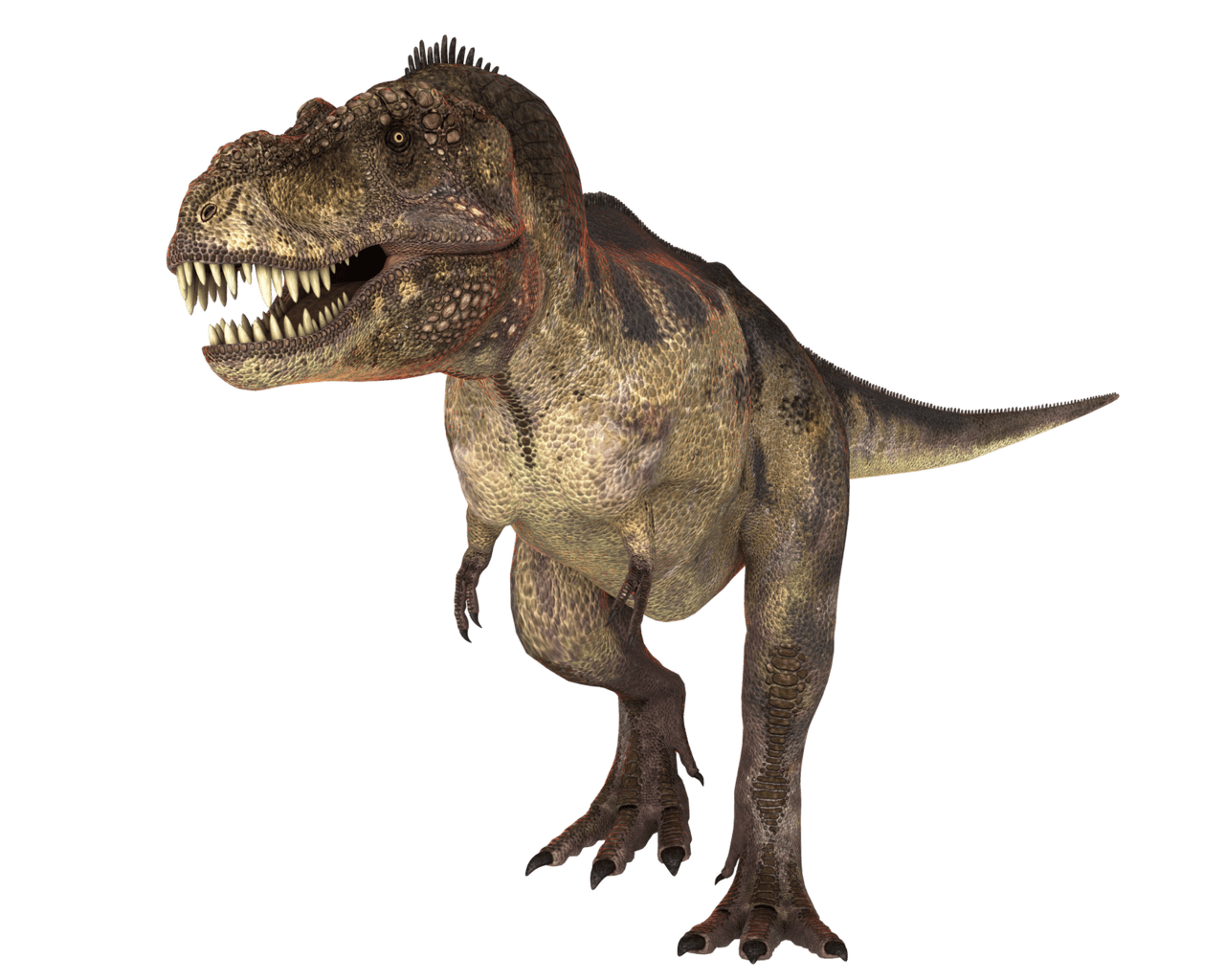 Rex dinosaur image for clipart