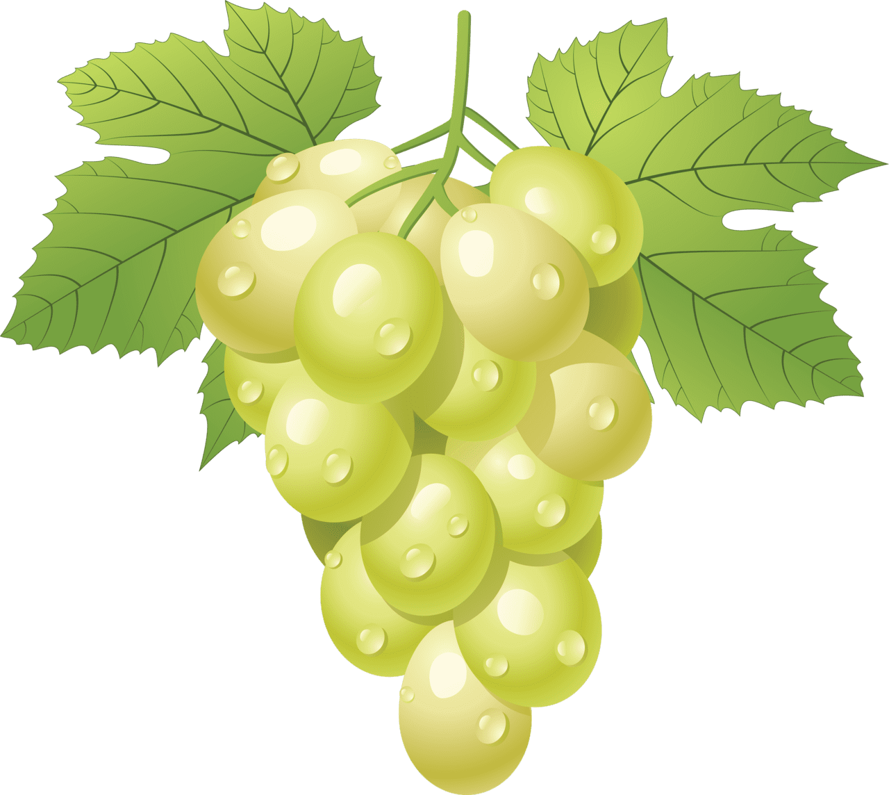 Grape pin page clipart free