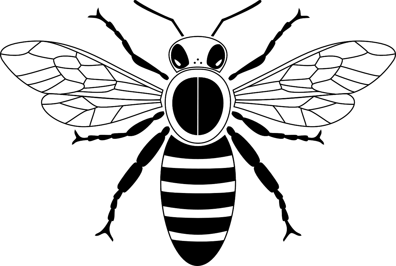 Bee black and white fly honey vector graphic clipart