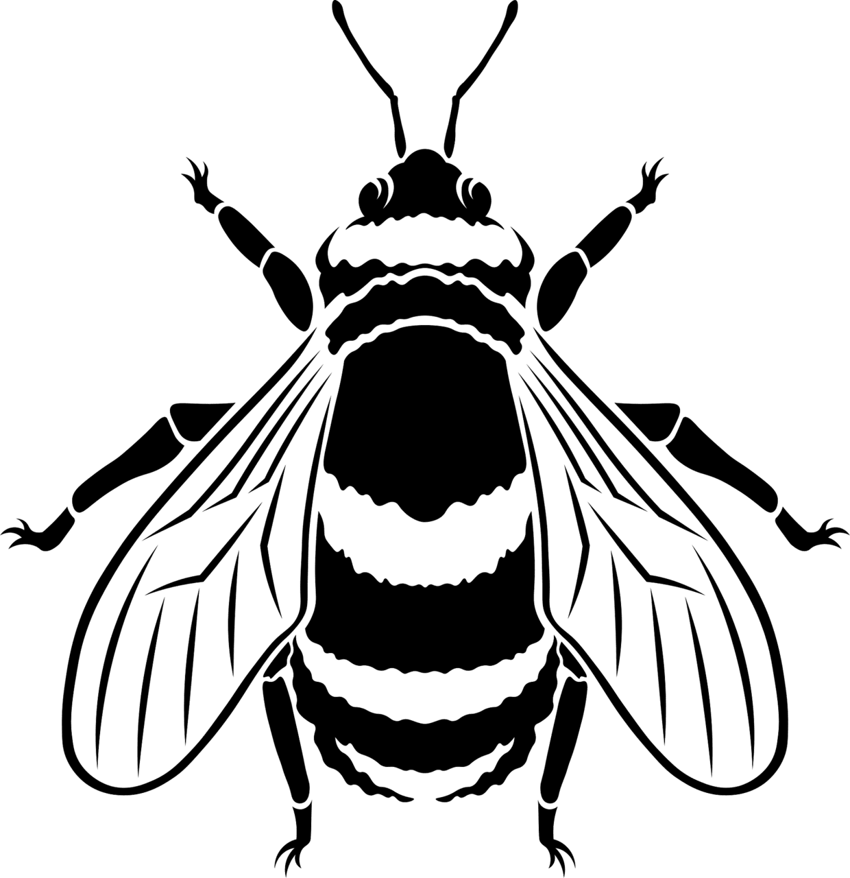 Bee black and white vector clipart images 3