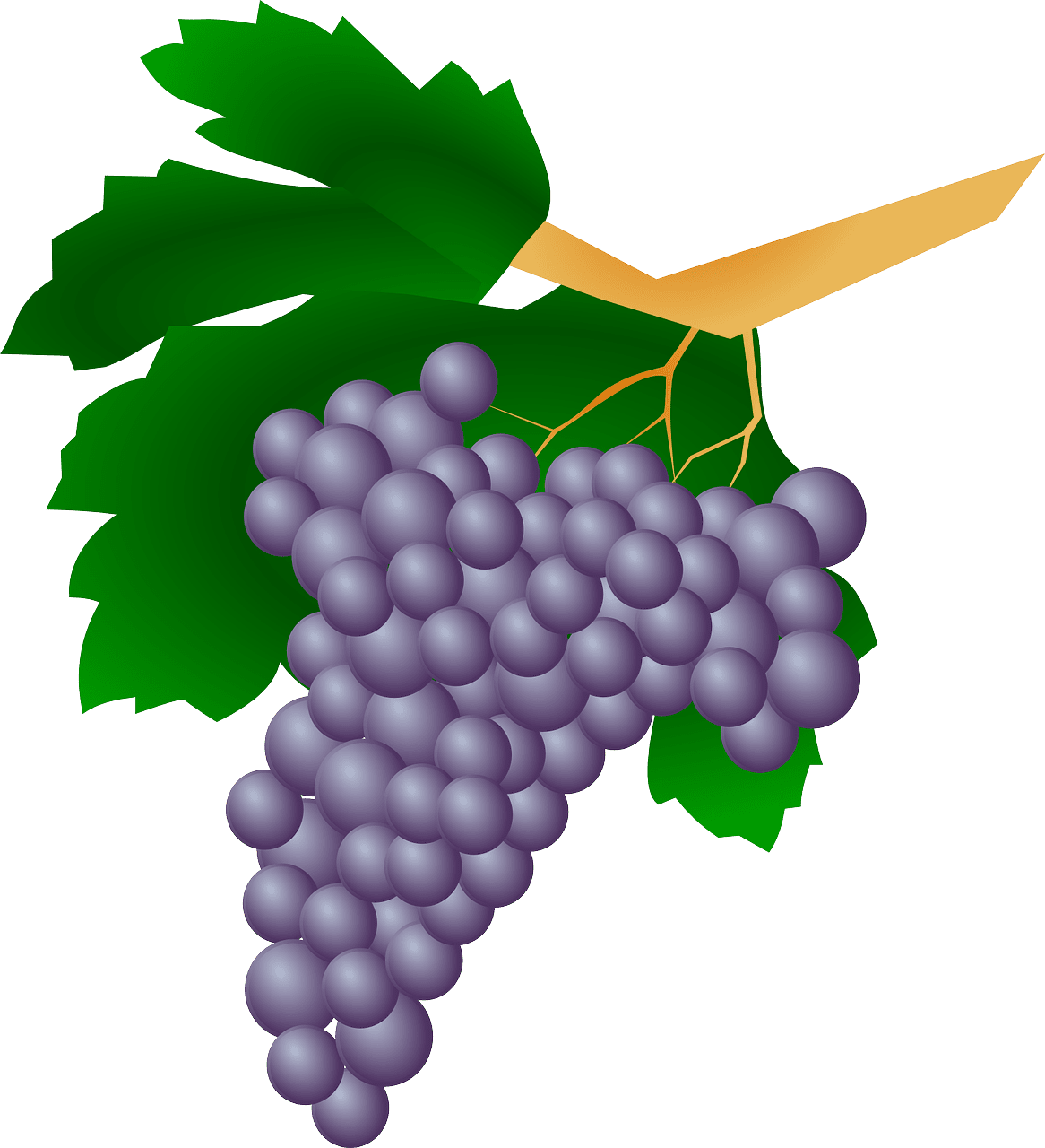 Grape registered namecheap clipart photo 3