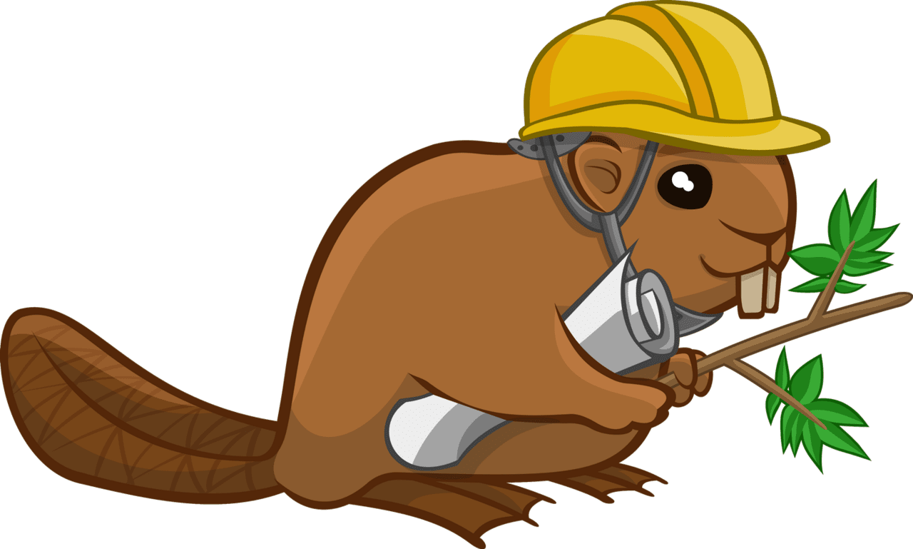 Beaver dam clipart photo