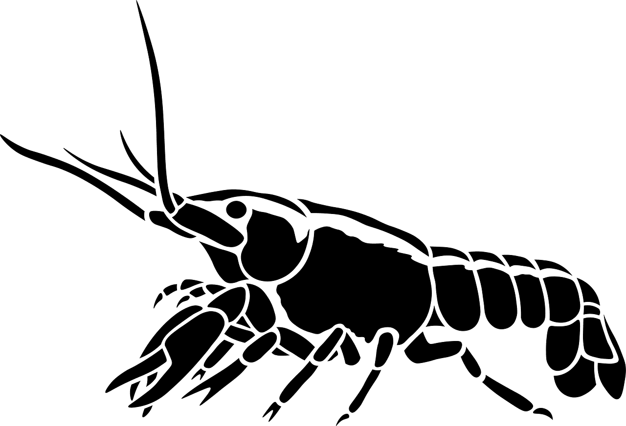 Crawfish vector clipart images 4