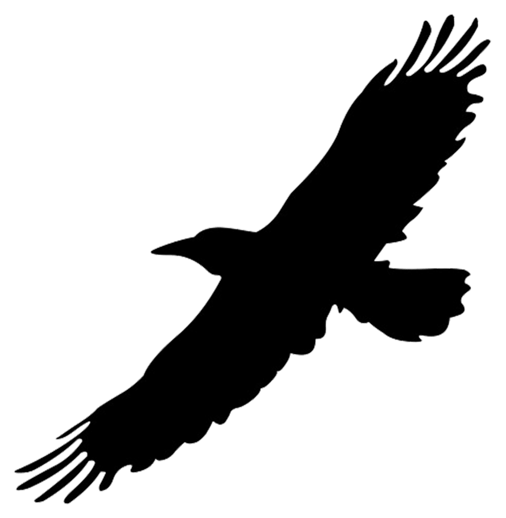 Crow bird silhouettes clipart photo