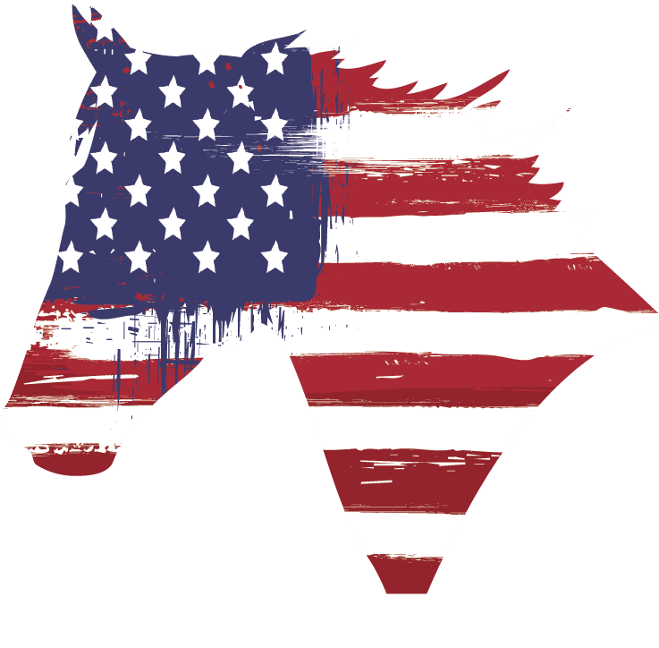 United states flag pin page clipart logo 4