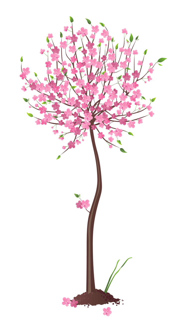 Springtime spring pink tree clipart background
