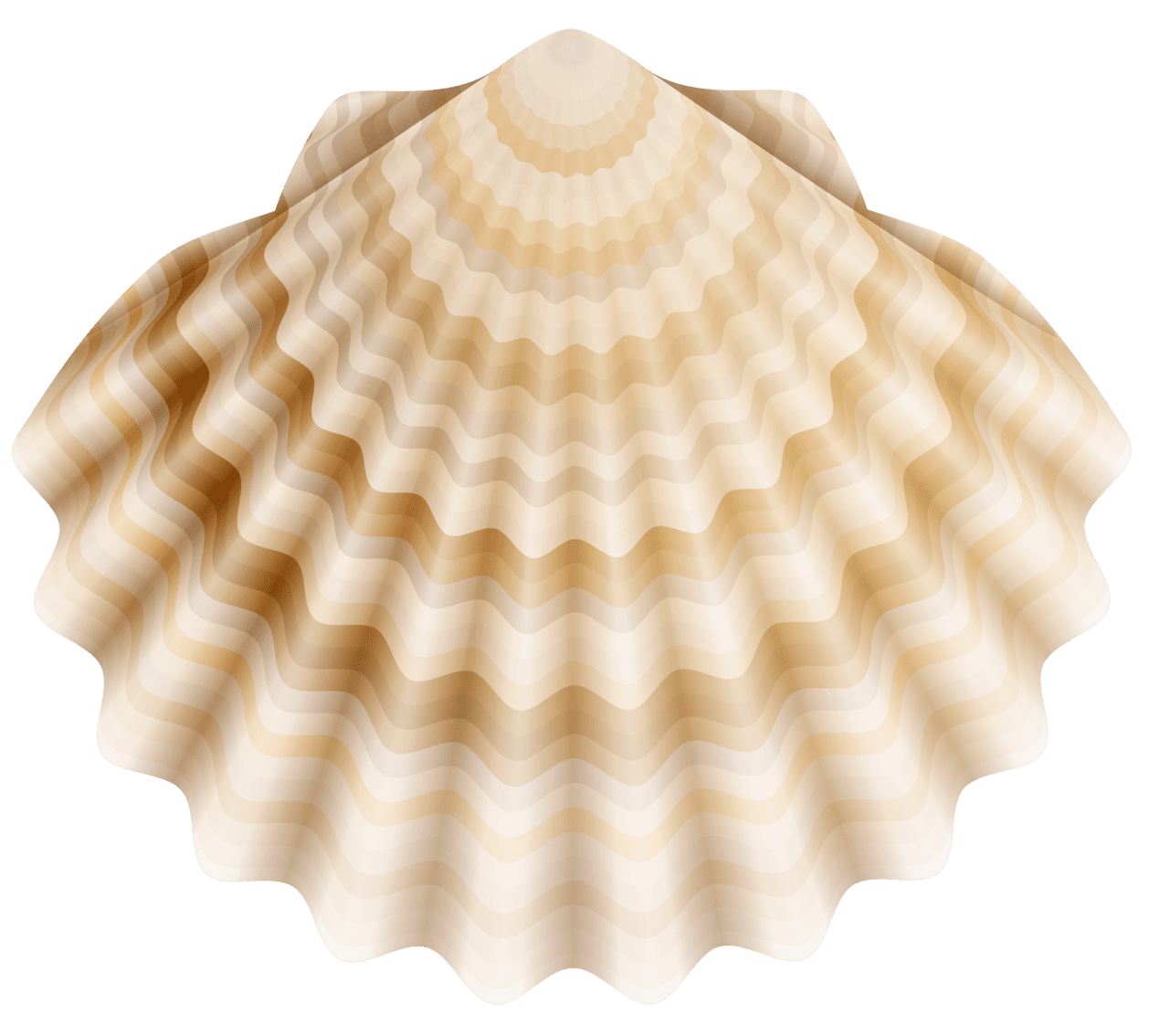 Sea shell clipart image yopriceville high