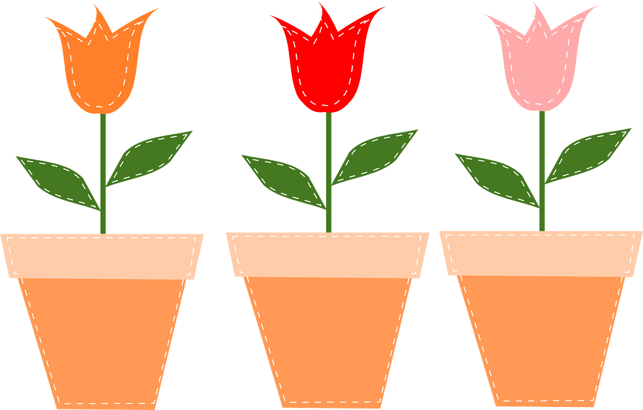 Flower pot pots tulips vector graphic clipart