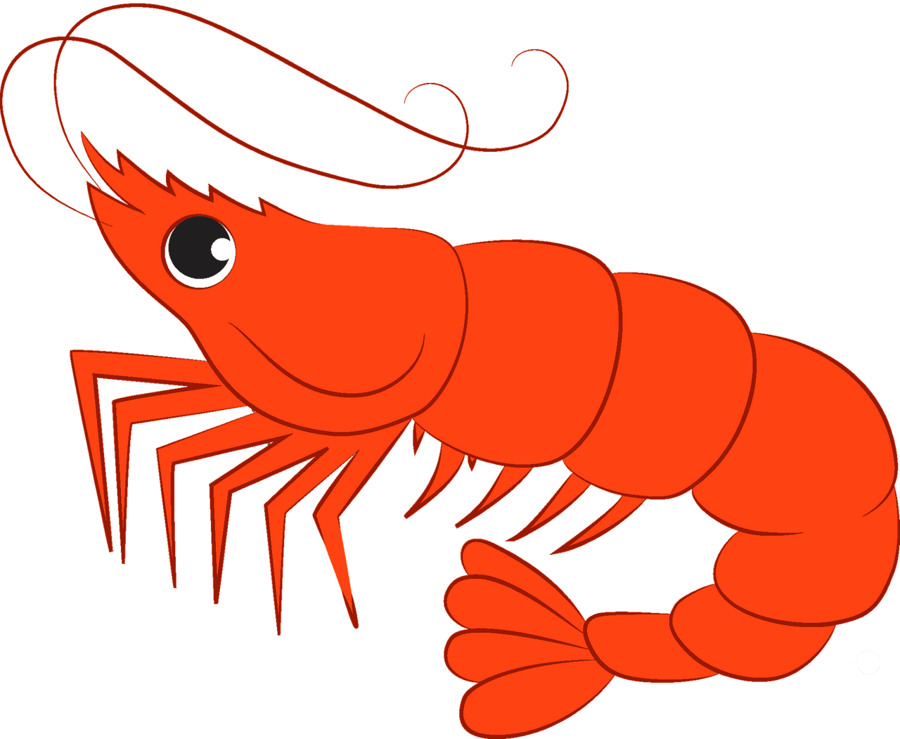 Shrimp vector clipart images 2