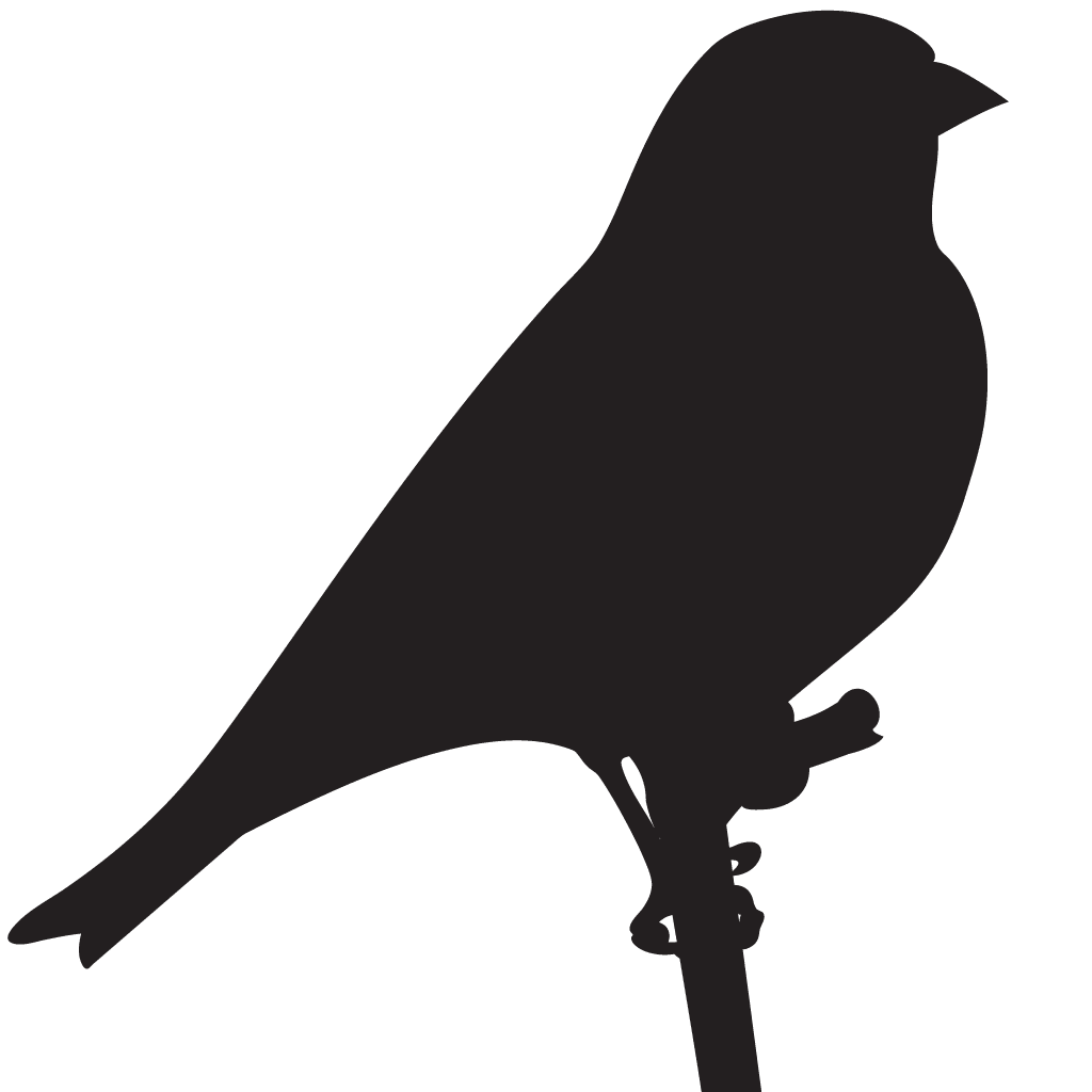 Crow american goldfinch overview all about birds cornell lab of ornithology clipart logo