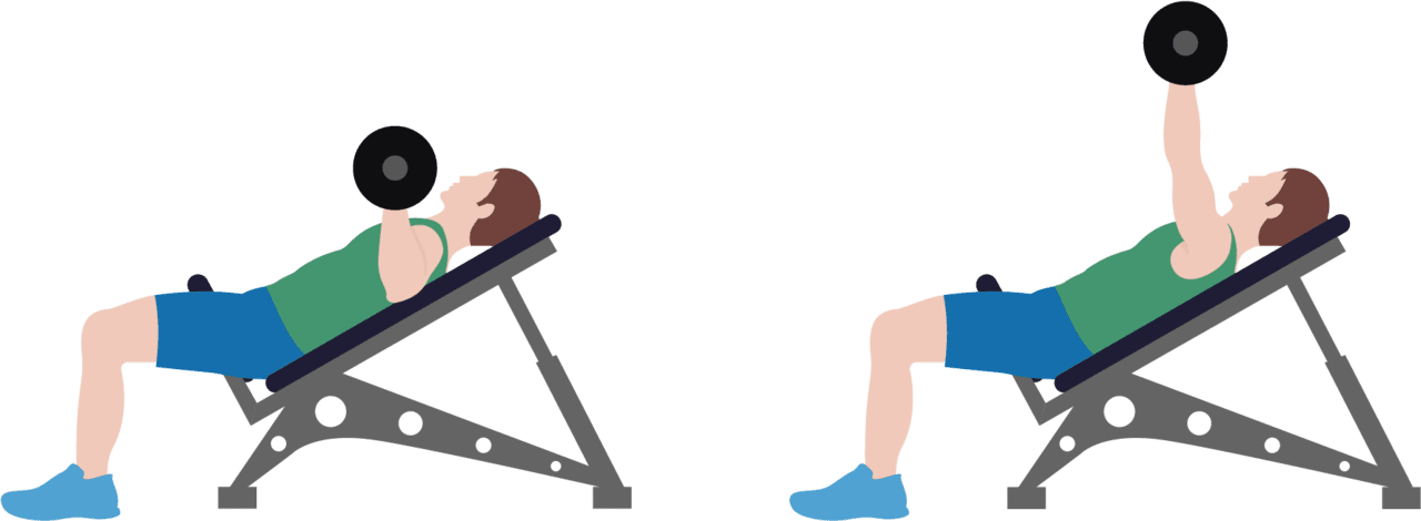 Dumbbell clipart bench press bar image with no background