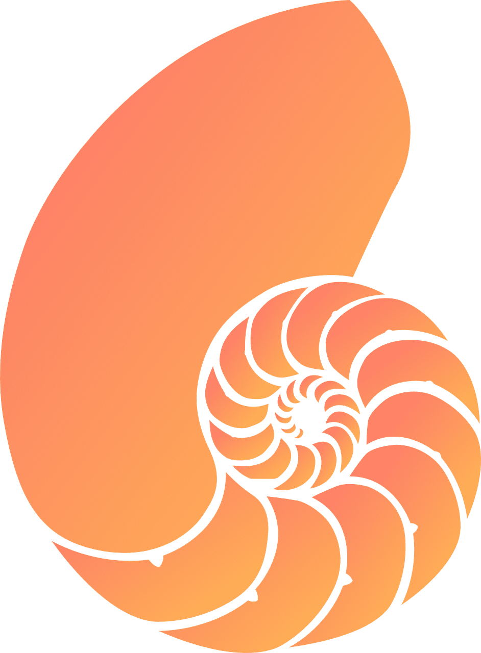 Shell conch mussel vector graphic clipart