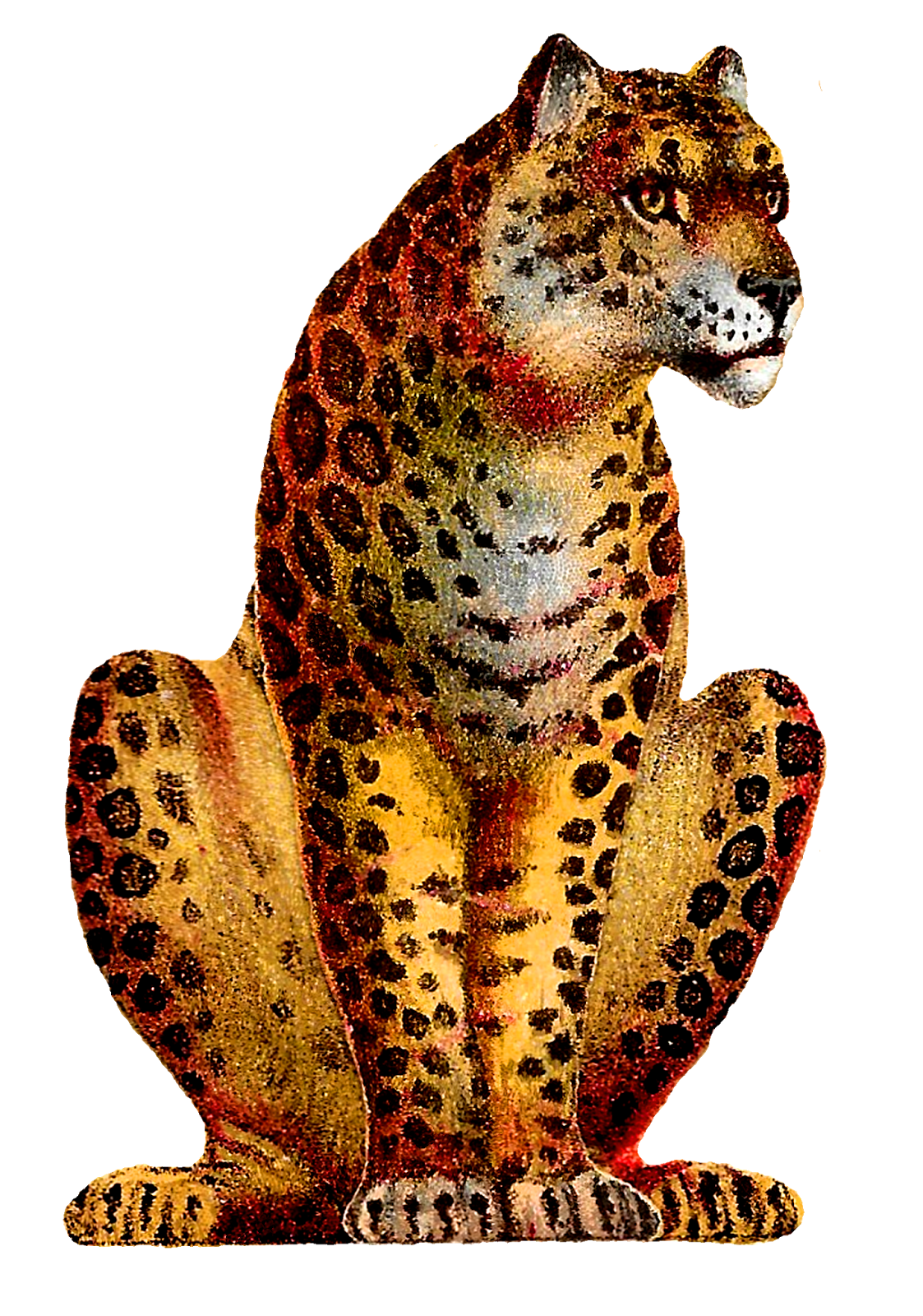 Cheetah vintage leopard big cat image clipart animal artwork circus