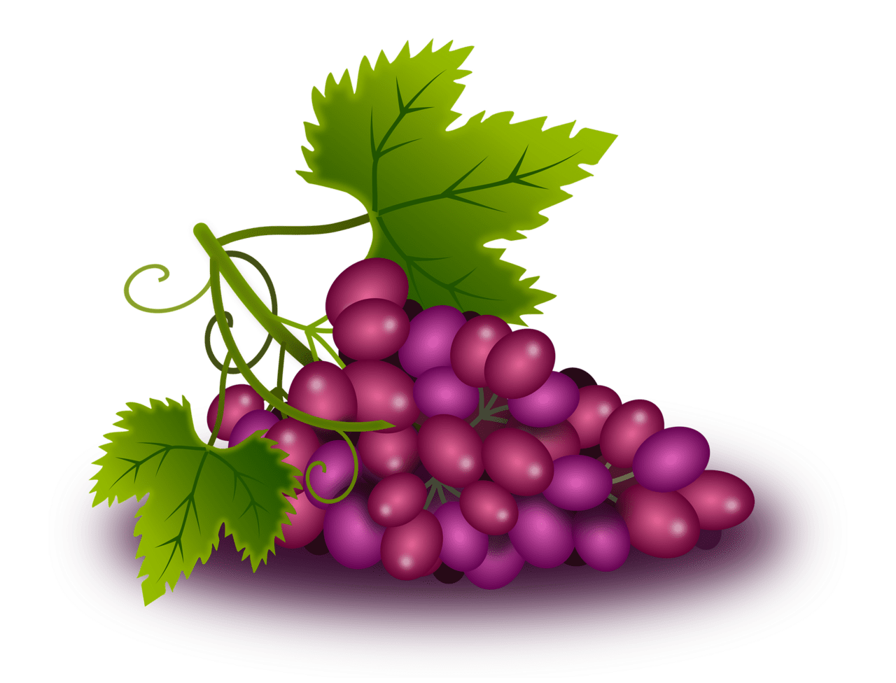 Grape page clipart transparent