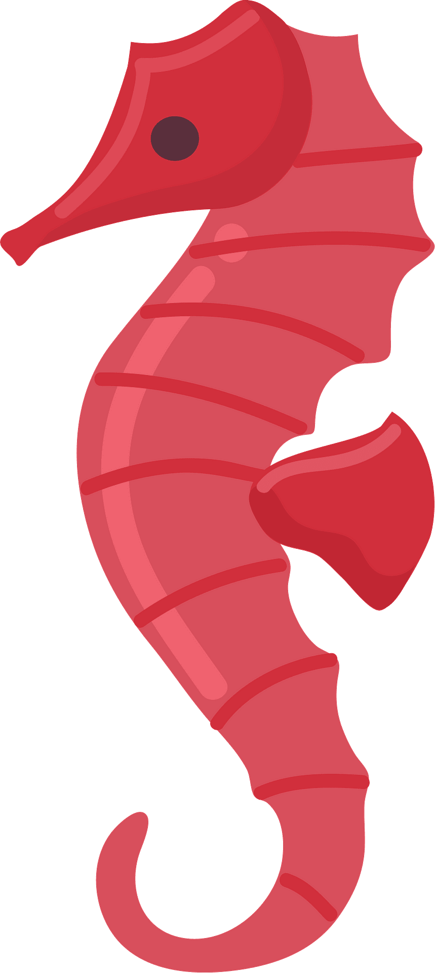 Seahorse vector clipart images 5