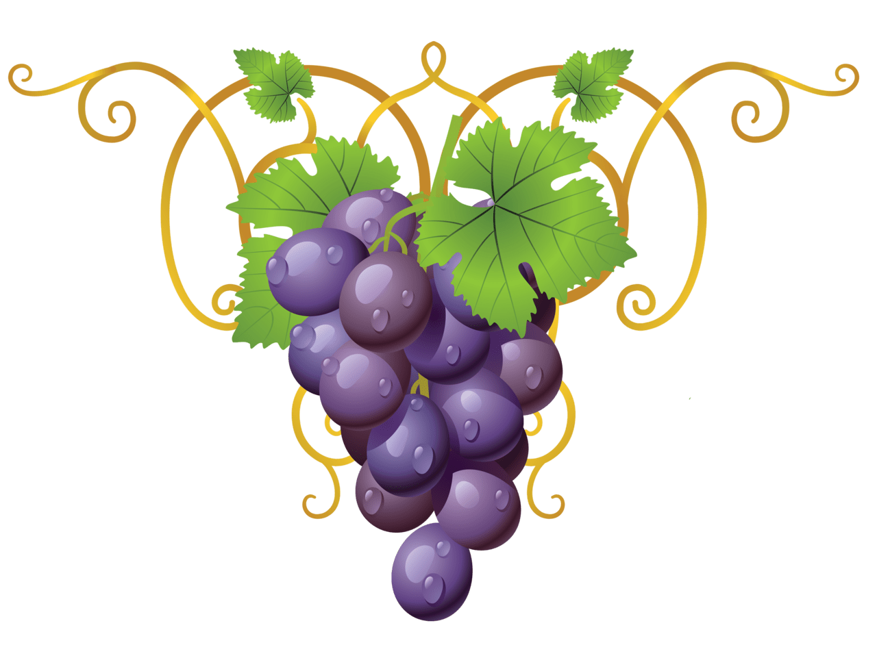 Grape vines ideas clipart free