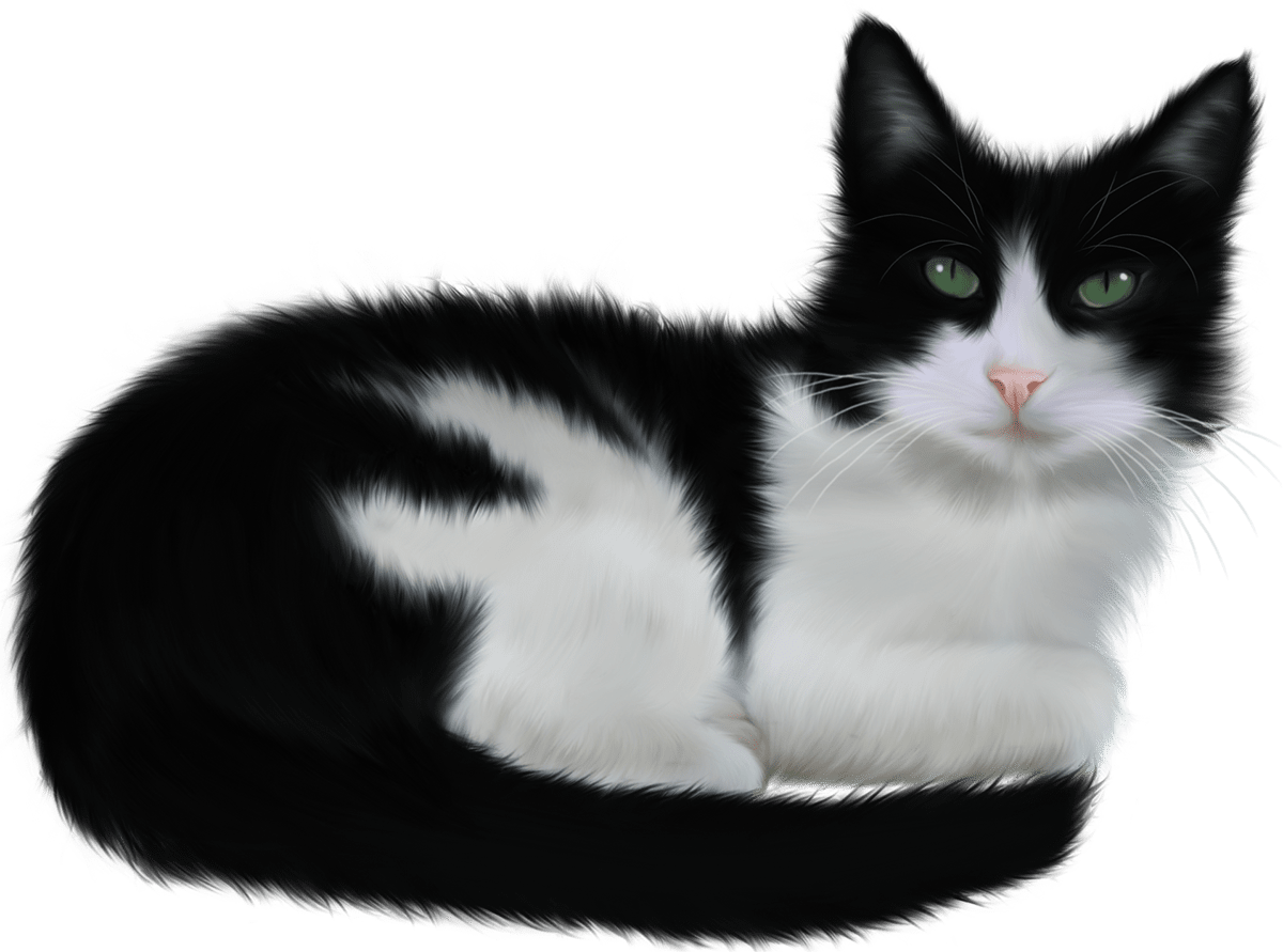 Cat black and white pin page clipart picture 4