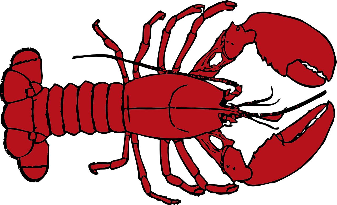 Crawfish lobster clipart image